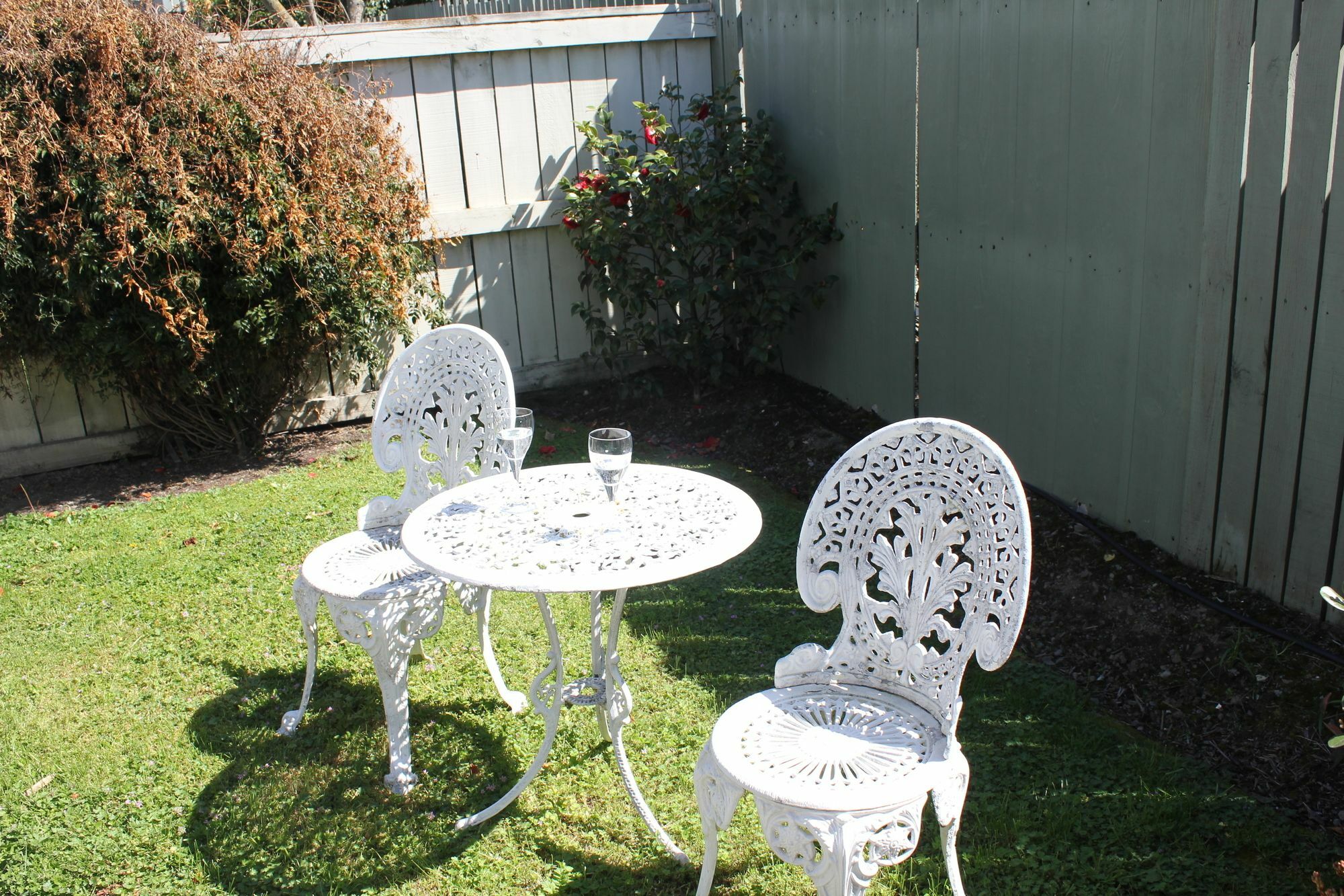 193 Aorangi Manor Motel Blenheim Esterno foto